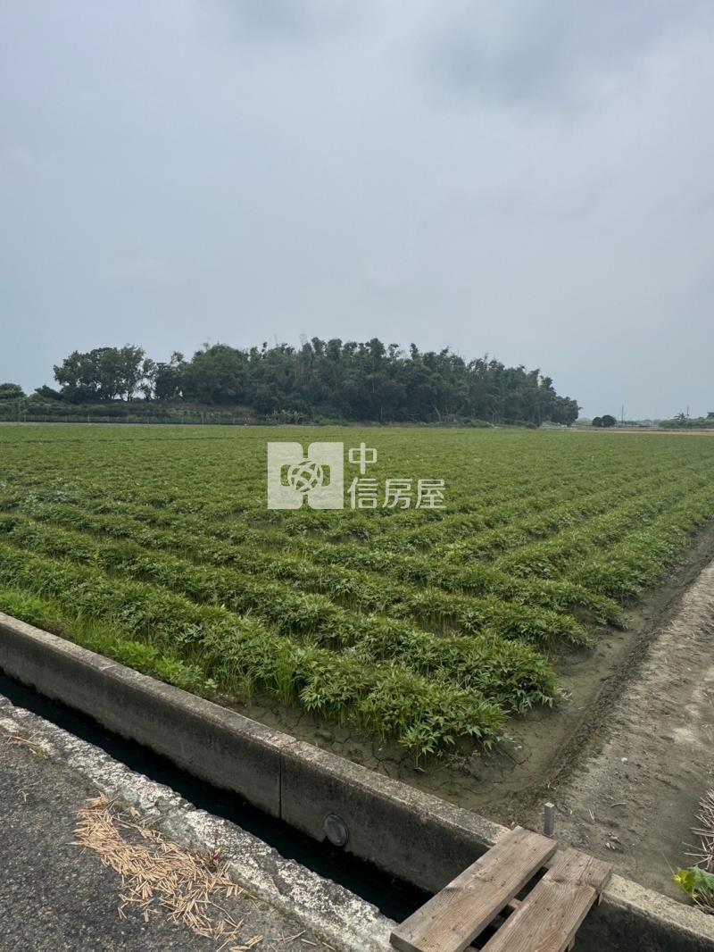 水林農地3房屋室內格局與周邊環境