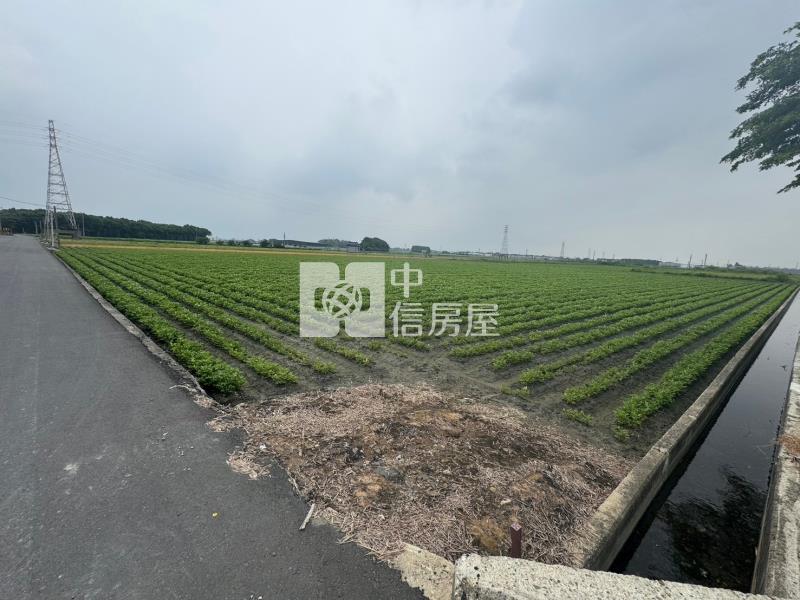 水林農地2房屋室內格局與周邊環境