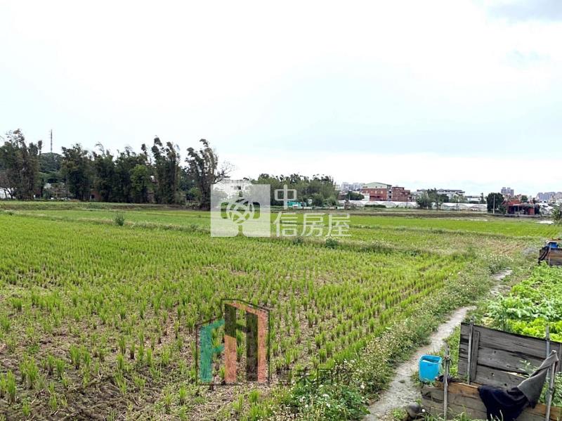 【豐禾】 大溪英業達大坪數農地房屋室內格局與周邊環境