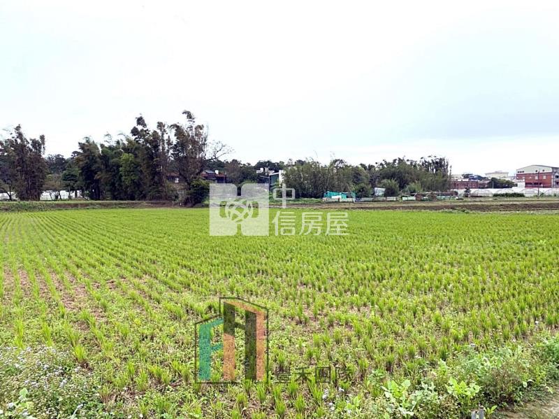 【豐禾】 大溪英業達大坪數農地房屋室內格局與周邊環境
