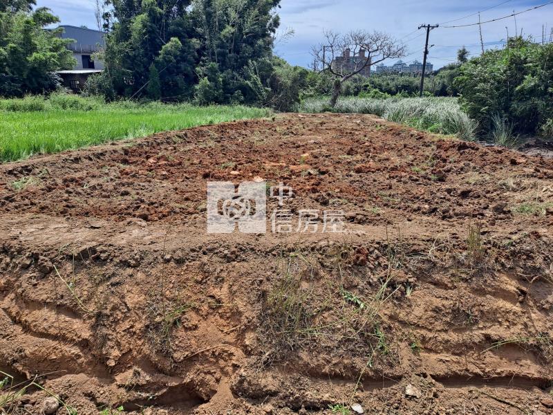 中豐路旁小坪數開心農場房屋室內格局與周邊環境