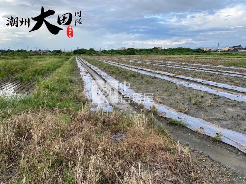 萬丹88全新廠房(C)房屋室內格局與周邊環境