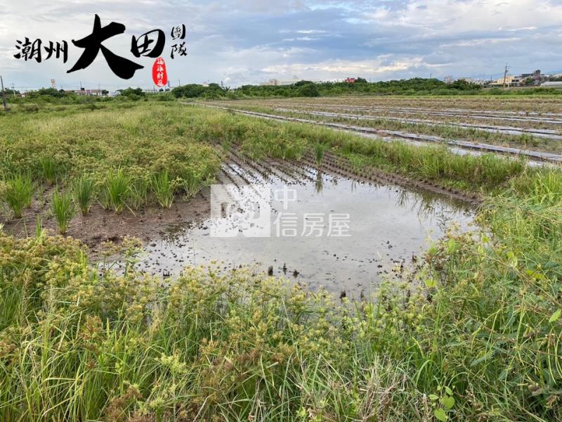萬丹88全新廠房(C)房屋室內格局與周邊環境