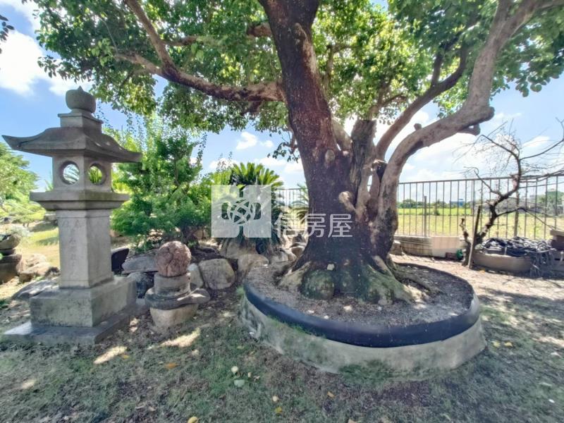 鹽水㊣台19線合法農地廠房(專)房屋室內格局與周邊環境