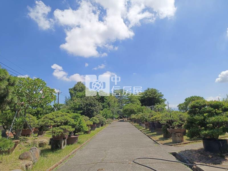 鹽水㊣台19線合法農地廠房(專)房屋室內格局與周邊環境