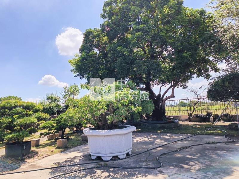 鹽水㊣台19線合法農地廠房(專)房屋室內格局與周邊環境