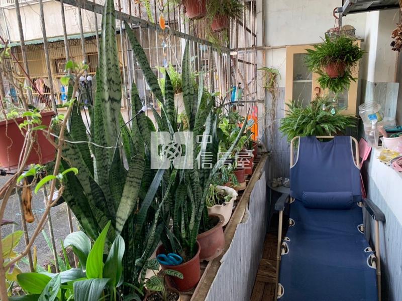 關西高中透天金店面房屋室內格局與周邊環境
