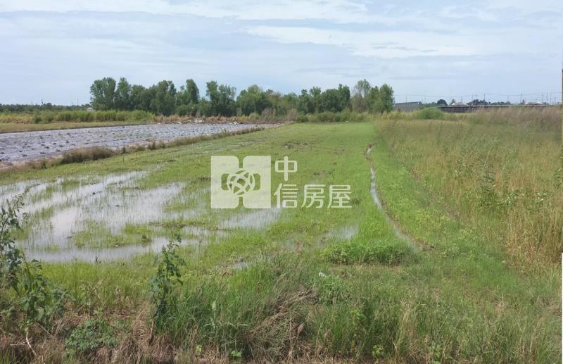 鹽水低價開心方正農地房屋室內格局與周邊環境