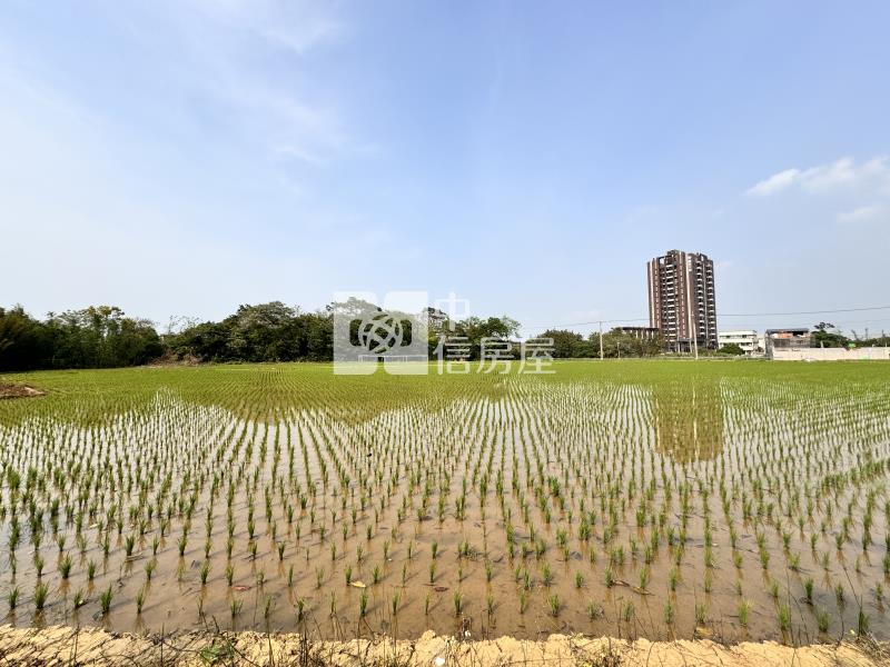 平鎮66快速路甲建買地送屋房屋室內格局與周邊環境