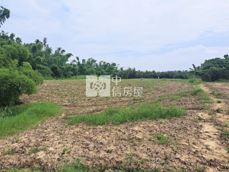 近86.國三交流道平坦美農地房屋室內格局與周邊環境