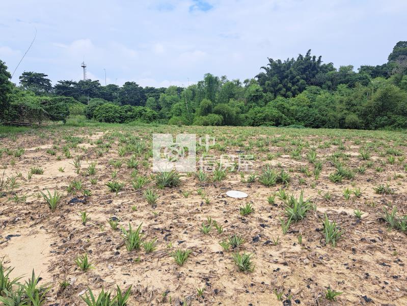 近86.國三交流道平坦美農地房屋室內格局與周邊環境