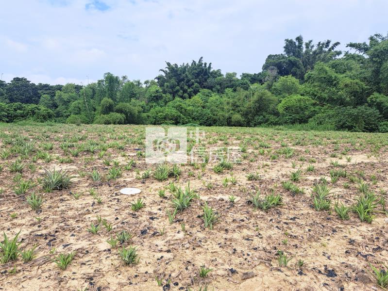 近86.國三交流道平坦美農地房屋室內格局與周邊環境