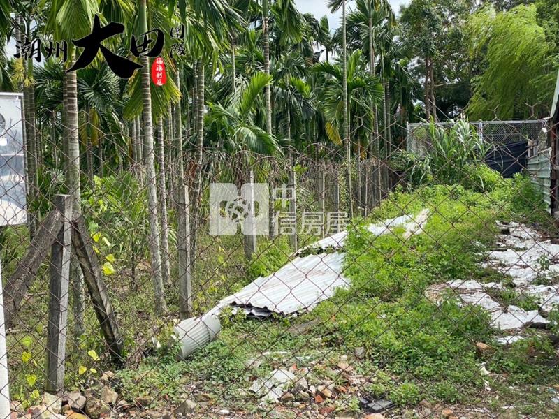 潮州鎮內小建地房屋室內格局與周邊環境