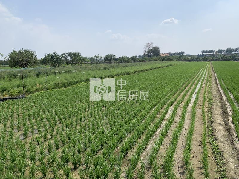 善化烏橋中路旁一般農牧地(B)房屋室內格局與周邊環境