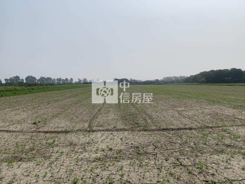 善化烏橋中路旁一般農牧地(B)房屋室內格局與周邊環境