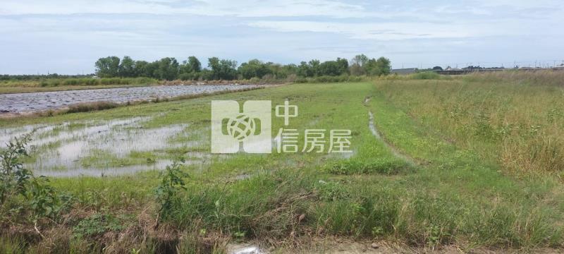 鹽水俗俗美農地房屋室內格局與周邊環境