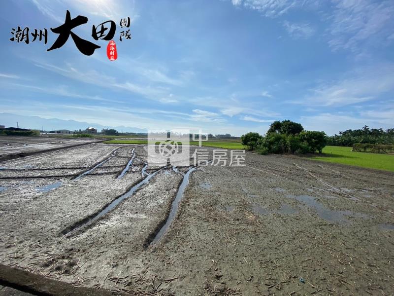 新園臨路都農房屋室內格局與周邊環境