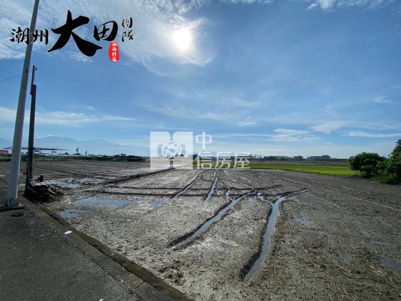 新園臨路都農房屋室內格局與周邊環境