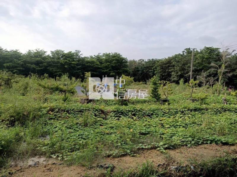 歸仁高鐵產業園區預定地房屋室內格局與周邊環境