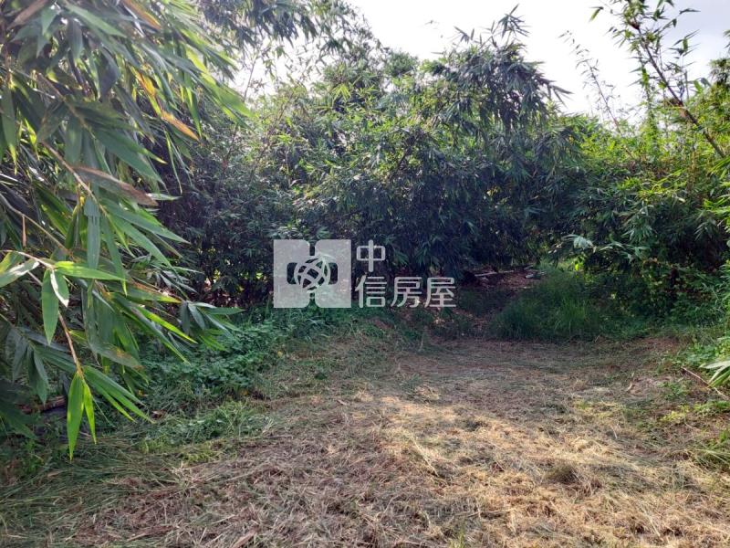 近高鐵86快速道路方正農地房屋室內格局與周邊環境