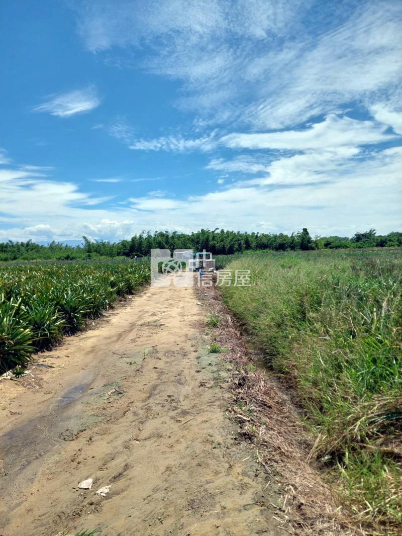 近高鐵86快速道路方正農地房屋室內格局與周邊環境