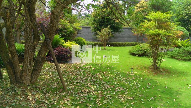 大面積土地+氣派農舍房屋室內格局與周邊環境