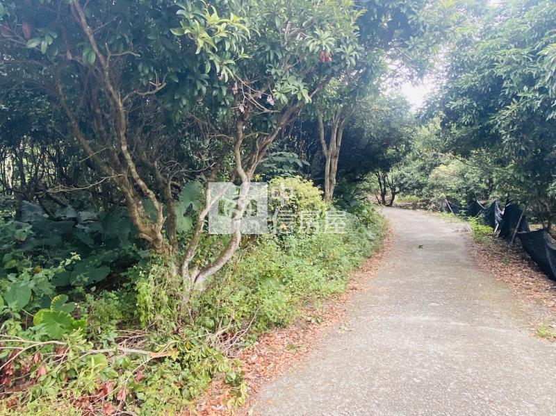 白河六重溪超值農地房屋室內格局與周邊環境