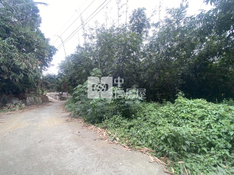 白河六重溪超值農地房屋室內格局與周邊環境