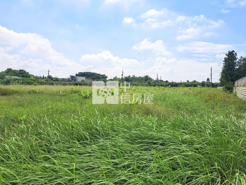 新埔雙面臨路有水電美農地房屋室內格局與周邊環境