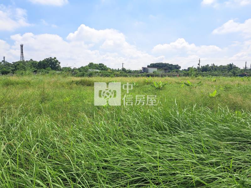 新埔雙面臨路有水電美農地房屋室內格局與周邊環境