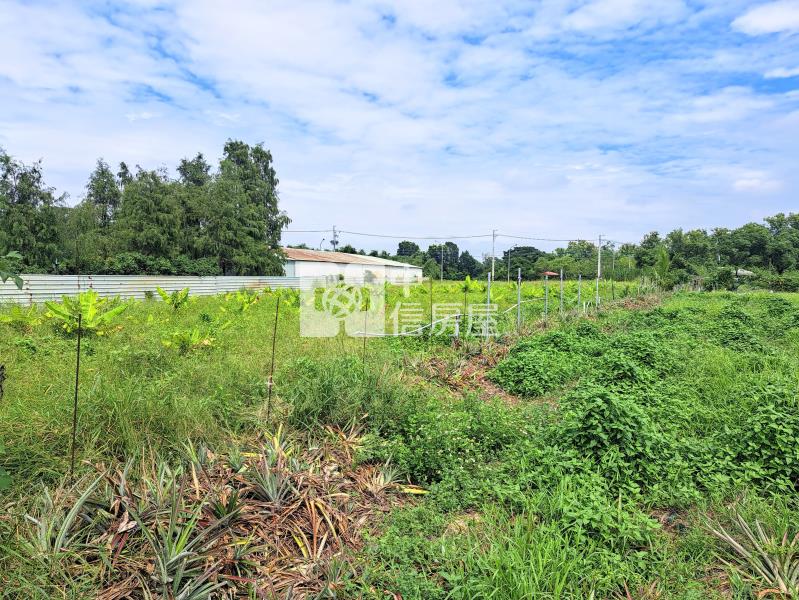 新埔雙面臨路有水電美農地房屋室內格局與周邊環境