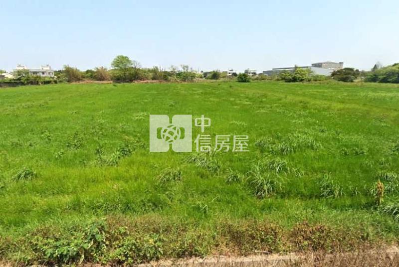 楊湖路三段【上湖國小】8米路美農地560坪房屋室內格局與周邊環境
