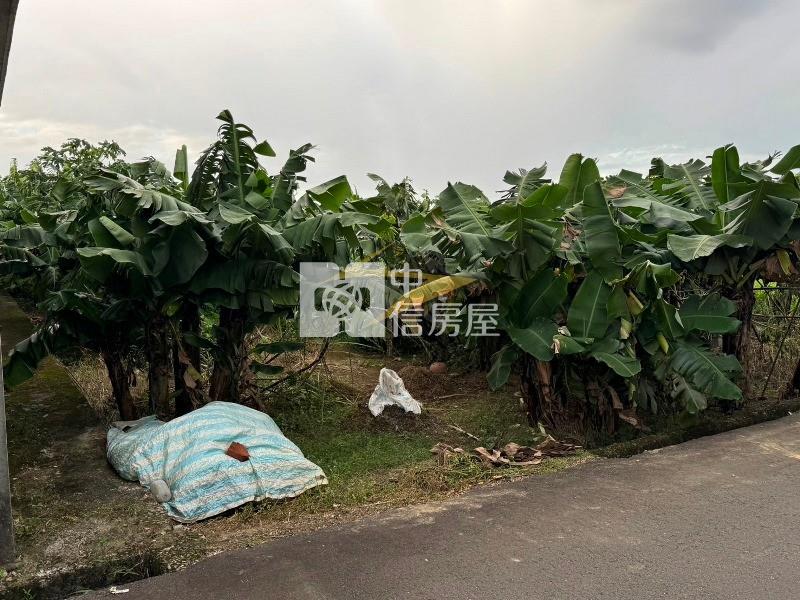 【星鑽】大溪美山路開心農場房屋室內格局與周邊環境