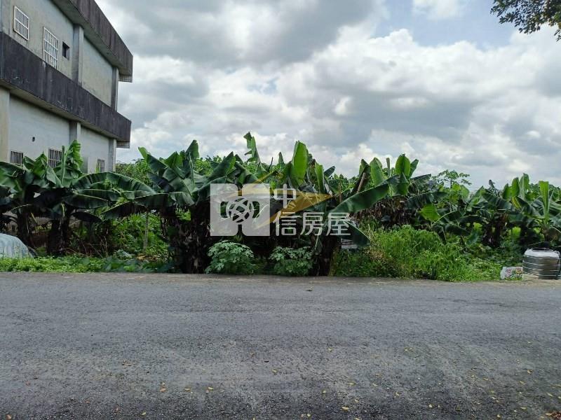 【星鑽】大溪美山路開心農場房屋室內格局與周邊環境