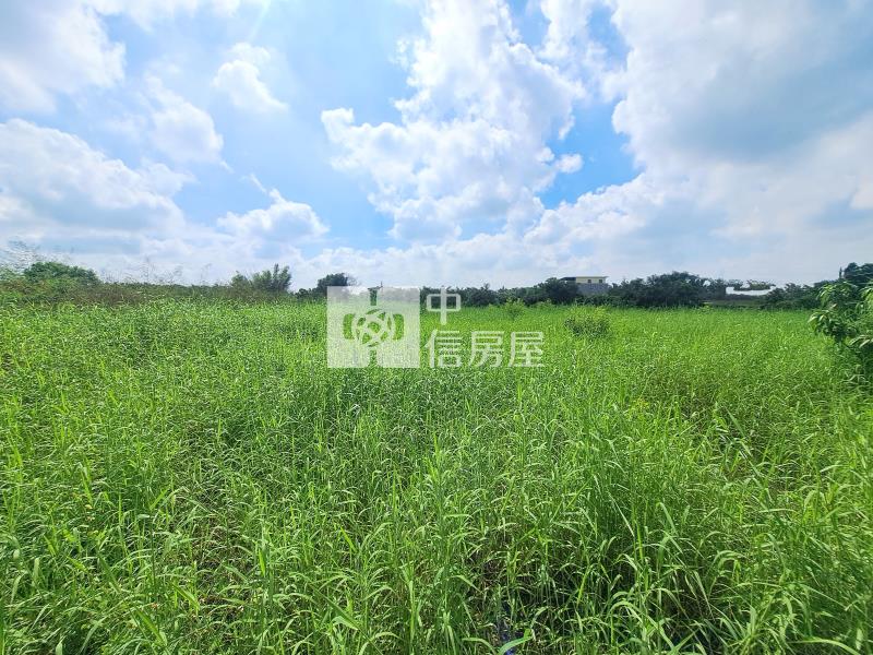 近關廟森林公園平坦美農地房屋室內格局與周邊環境