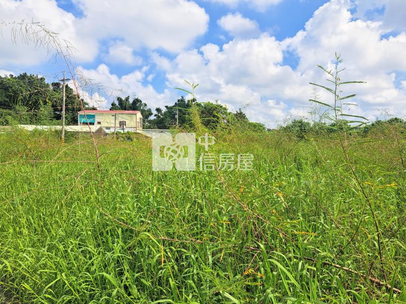 近關廟森林公園平坦美農地房屋室內格局與周邊環境