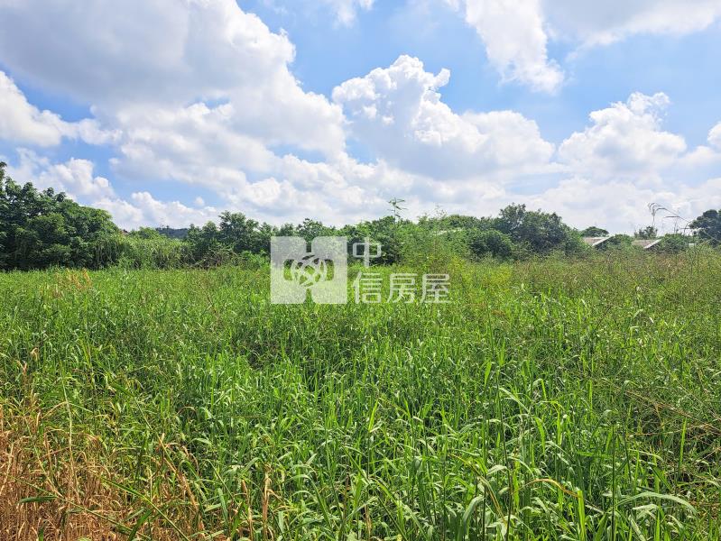 近關廟森林公園平坦美農地房屋室內格局與周邊環境