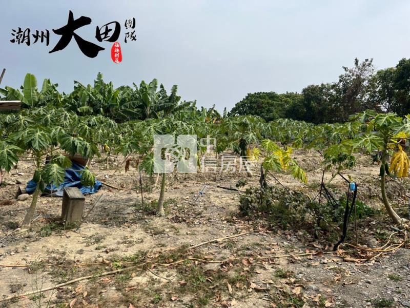 枋寮省道旁建地房屋室內格局與周邊環境