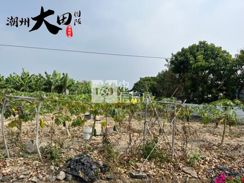 枋寮省道旁建地房屋室內格局與周邊環境