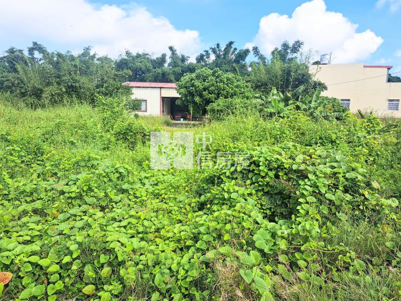 近文和國小雙面臨路農地房屋室內格局與周邊環境