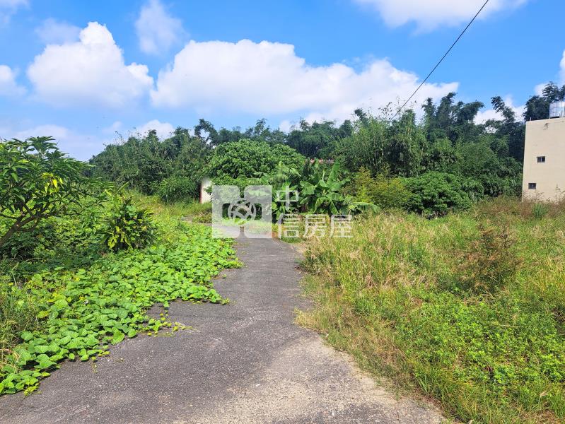 近文和國小雙面臨路農地房屋室內格局與周邊環境
