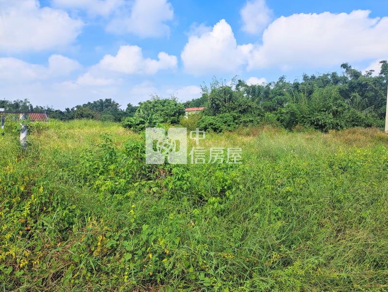 近文和國小雙面臨路農地房屋室內格局與周邊環境