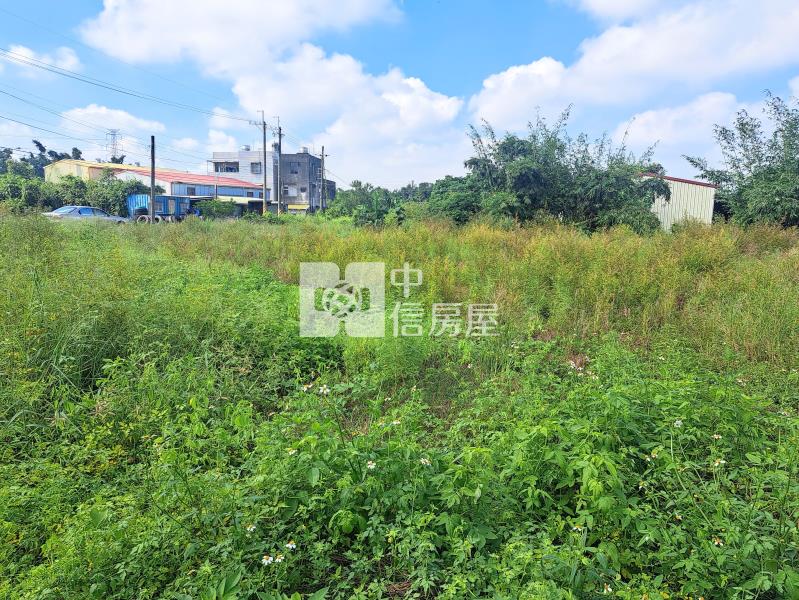 近文和國小雙面臨路農地房屋室內格局與周邊環境