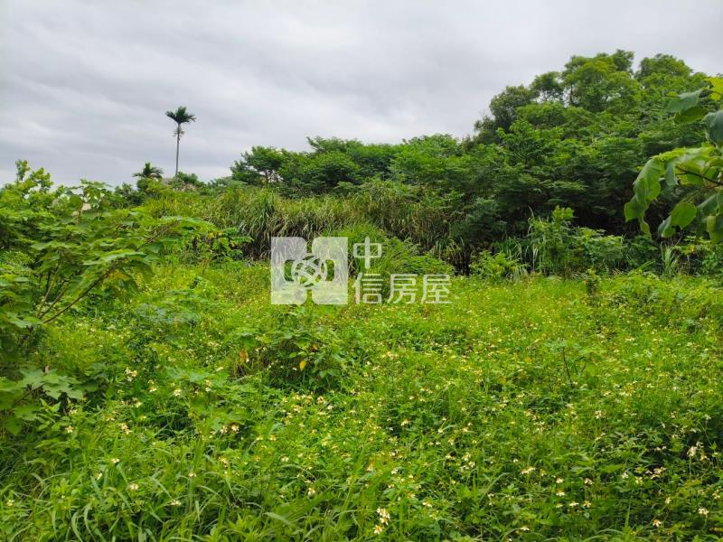 中央大學漂亮農地房屋室內格局與周邊環境