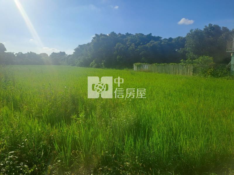 民權路都內美田房屋室內格局與周邊環境