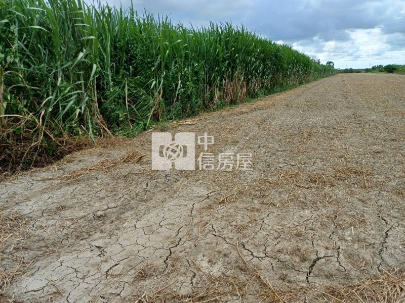 南科後花園1055坪美農地房屋室內格局與周邊環境