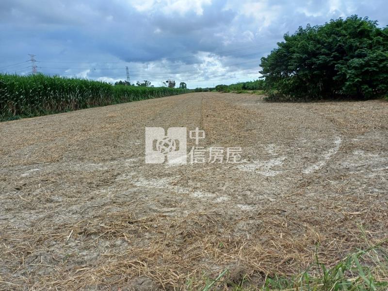 南科後花園1055坪美農地房屋室內格局與周邊環境