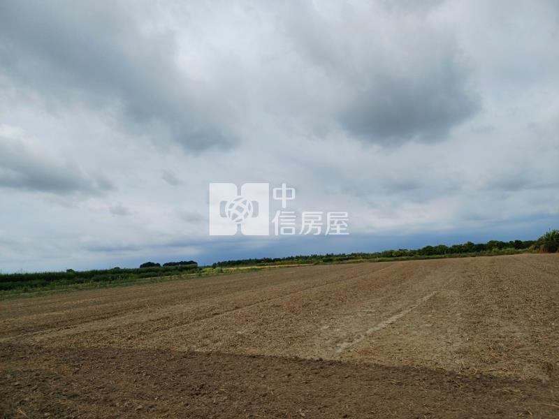 南科後花園1055坪美農地房屋室內格局與周邊環境