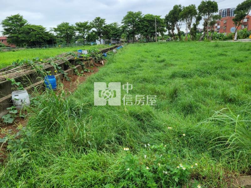 正山東路可蓋資材室農地(前後臨路)房屋室內格局與周邊環境