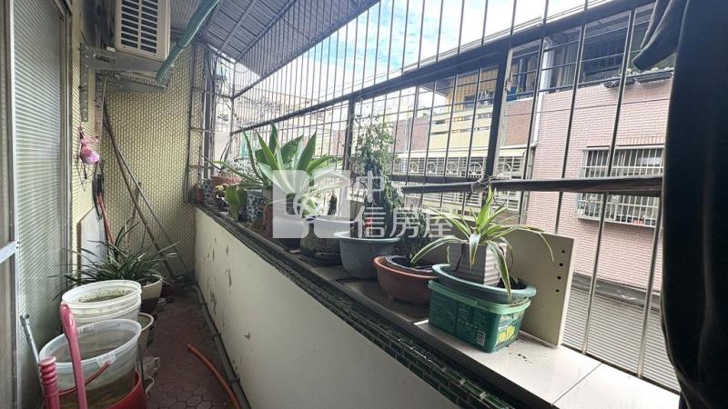 林森國小大透天(中信卓越團隊)房屋室內格局與周邊環境